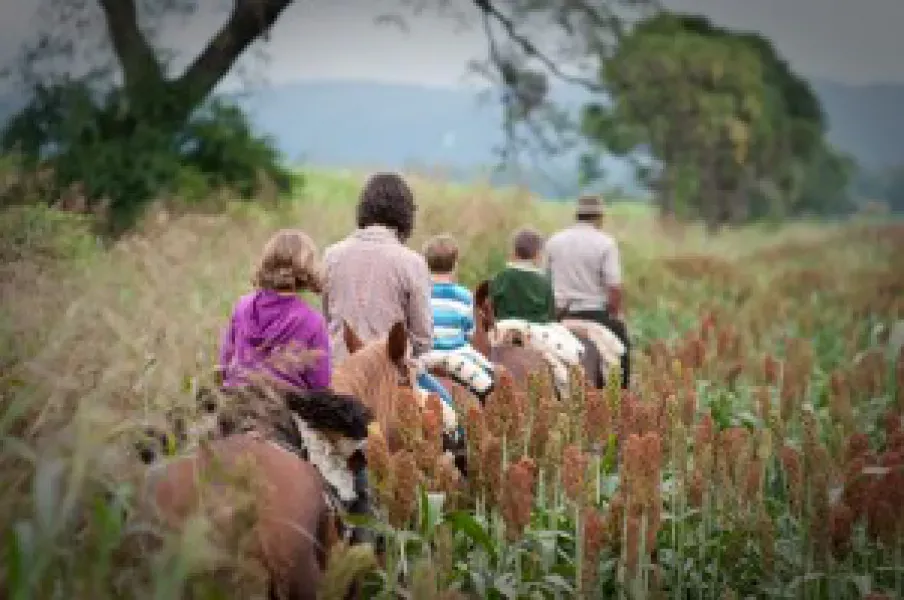 Días de campo en El Bordo