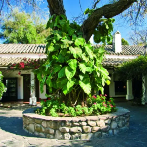 Patios de la Casa