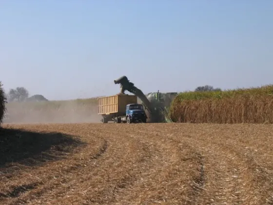Nuestra Producción en Estancia El Bordo de las Lanzas, Salta, Argentina
