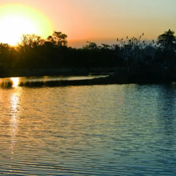 Reserva El Totoral