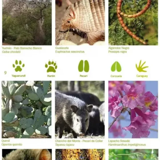 Especies
