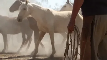Actividades en Estancia El Bordo de las Lanzas, Salta, Argentina