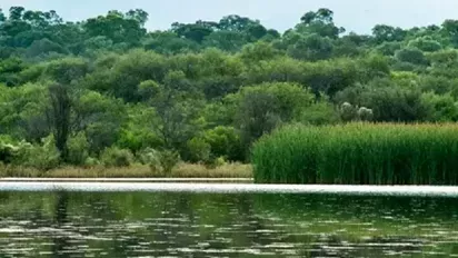 Reserva El Totoral en Estancia El Bordo de las Lanzas, Salta, Argentina