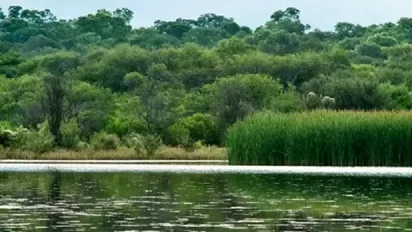 Reserva El Totoral en Estancia El Bordo de las Lanzas, Salta, Argentina